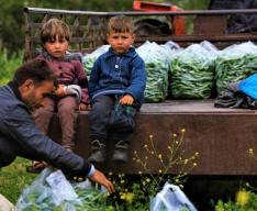 Síria - avaliação no norte do país